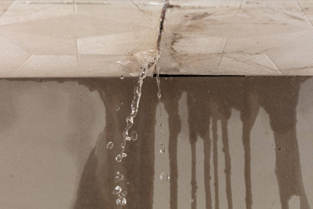Professional Burst Pipe Cleanup technician working in Pointblank, TX